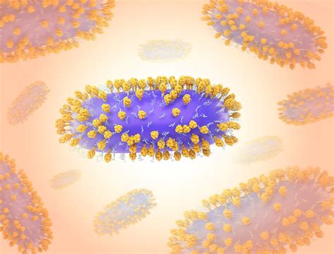ogomovies.rs|rs virus volwassenen.